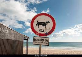 no dog beach sign portugal dog friendly