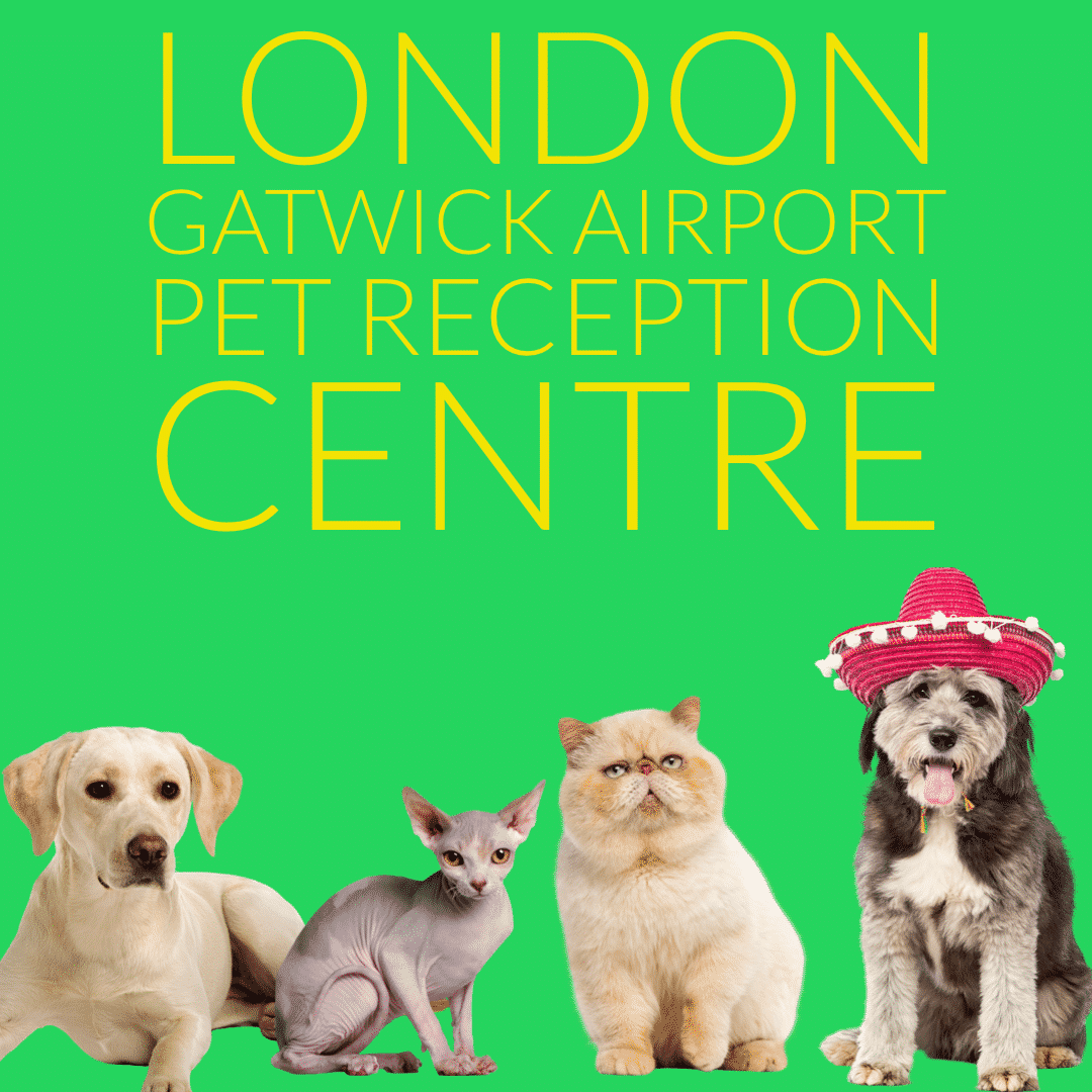 London gatwick airport pet reception centre cats dogs defra checks relief area