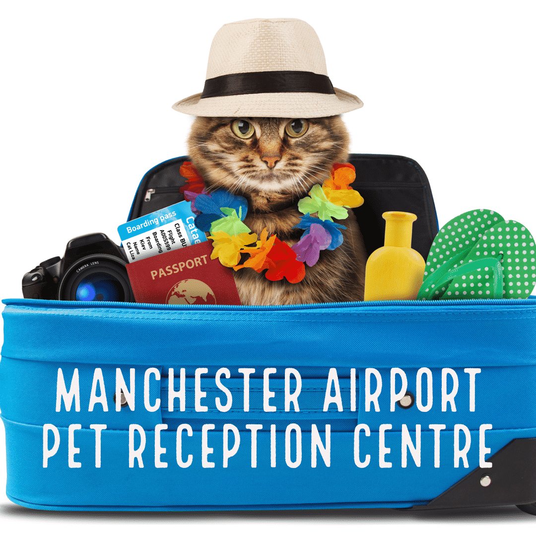 manchester airport pet reception centre cats dogs defra checks relief area