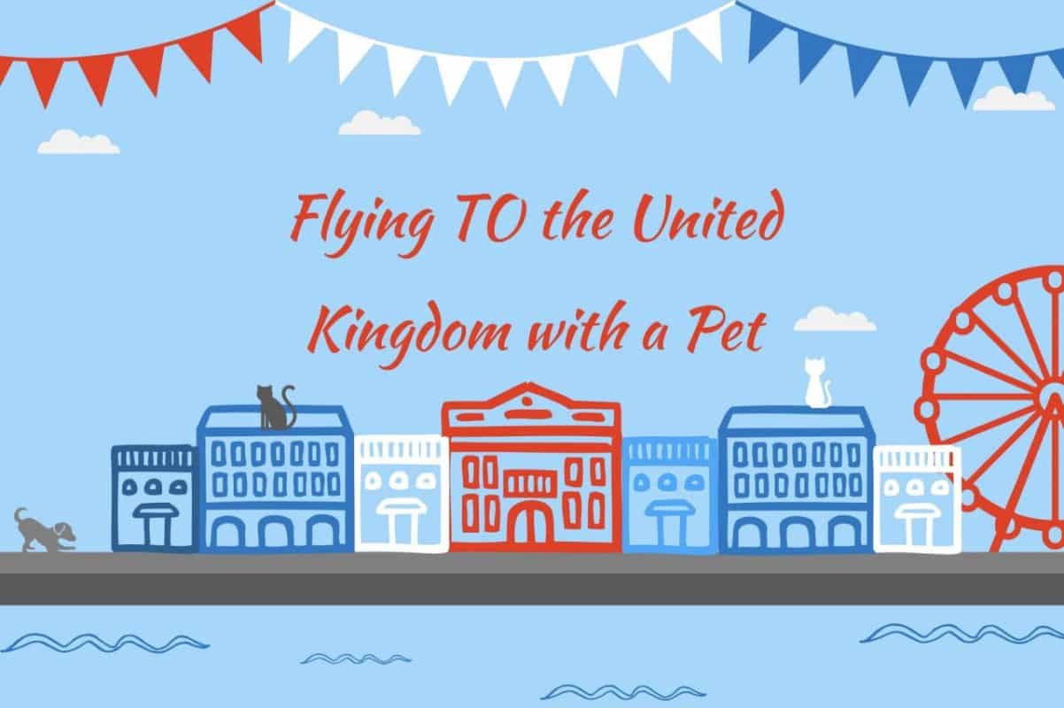 flying from eu to uk with a pet cat dog in cabin or hold
