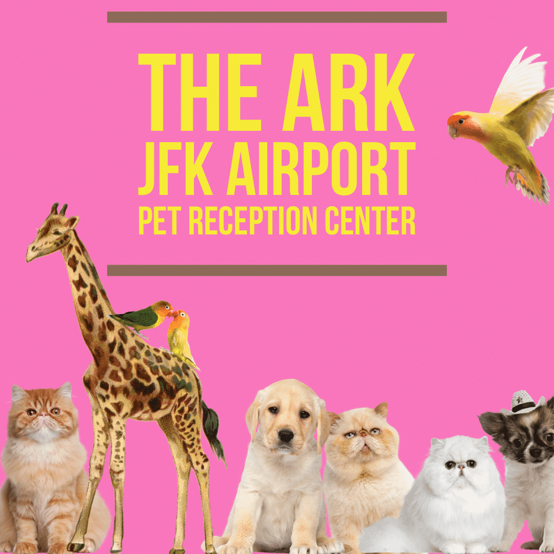 The ARK at JFK international new york airport pet reception centre cats dogs checks animal relief area