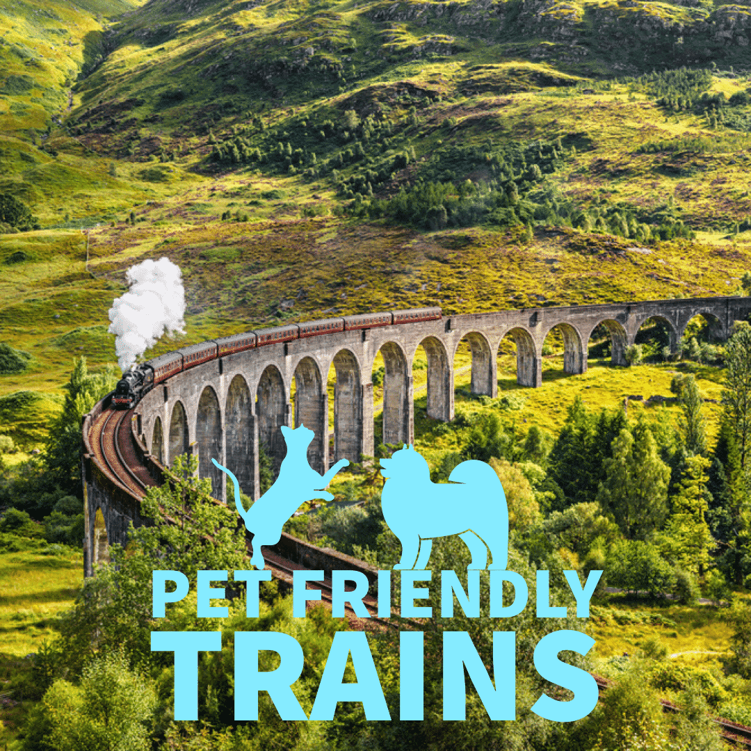 pet friendly trains uk eu worldwide dogs on train