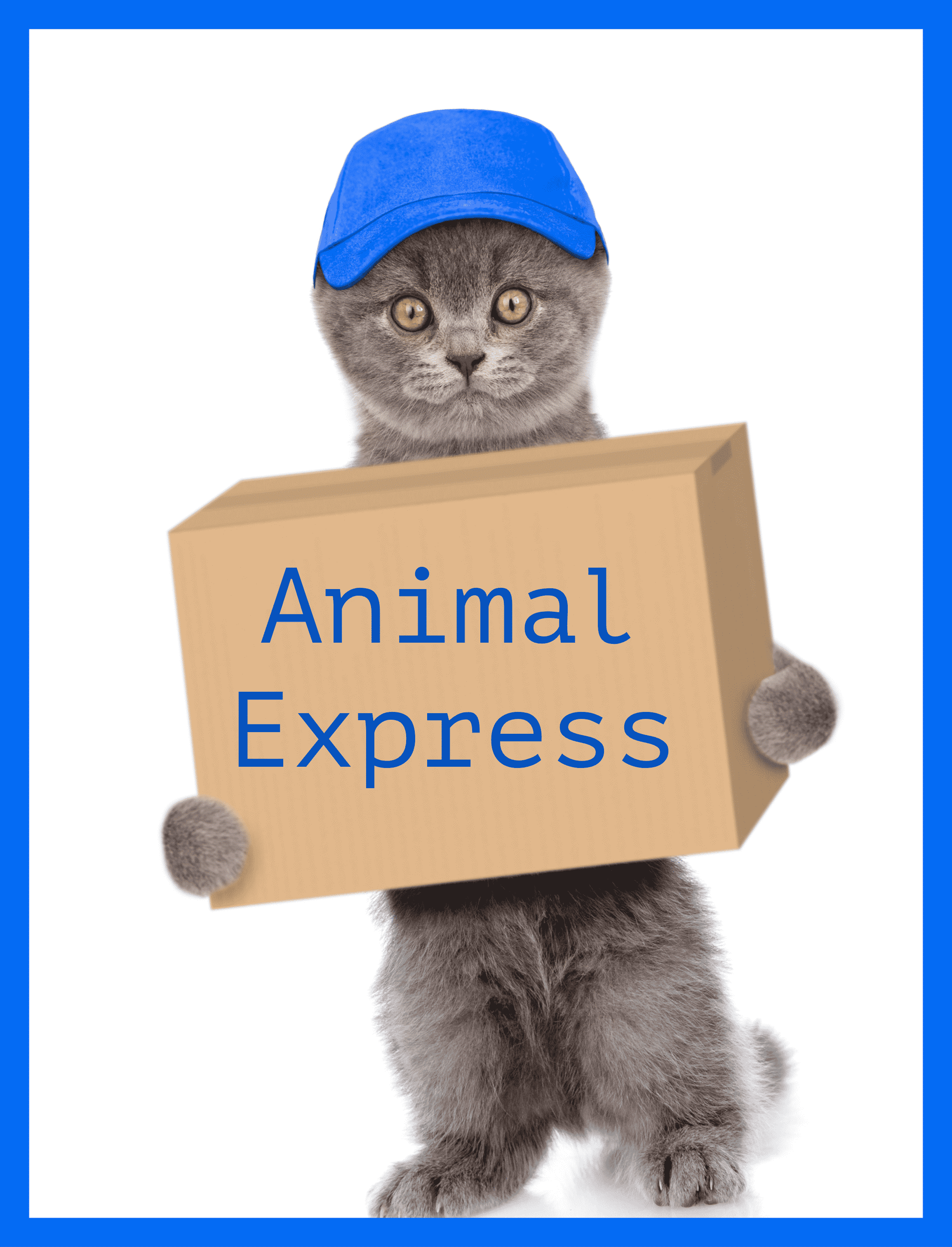 Animal Express pet couriers by road EU Spain Portugal France UK transport cats dogs rabbits ferrets