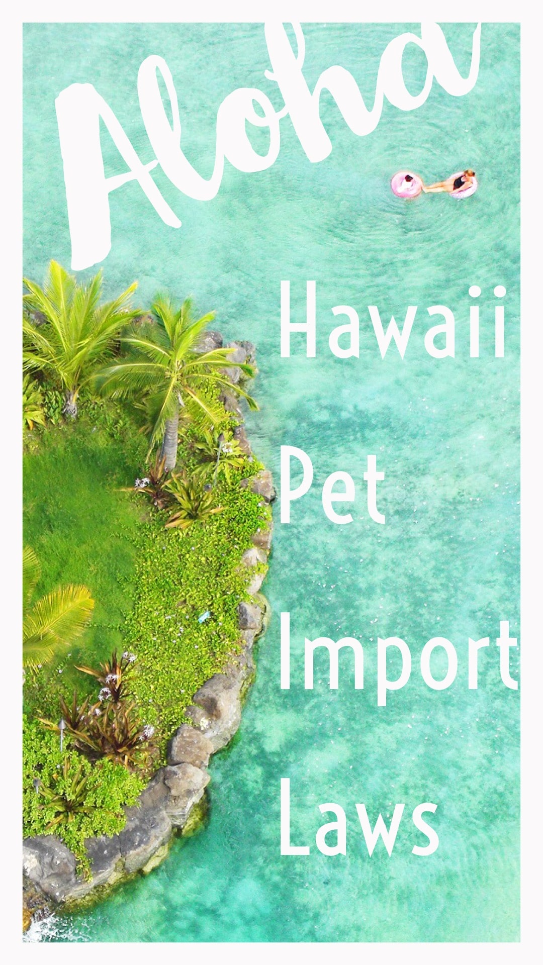 importing a pet to Hawaii quarantine interisland pet flightstaking a cat or dog to HAWAII