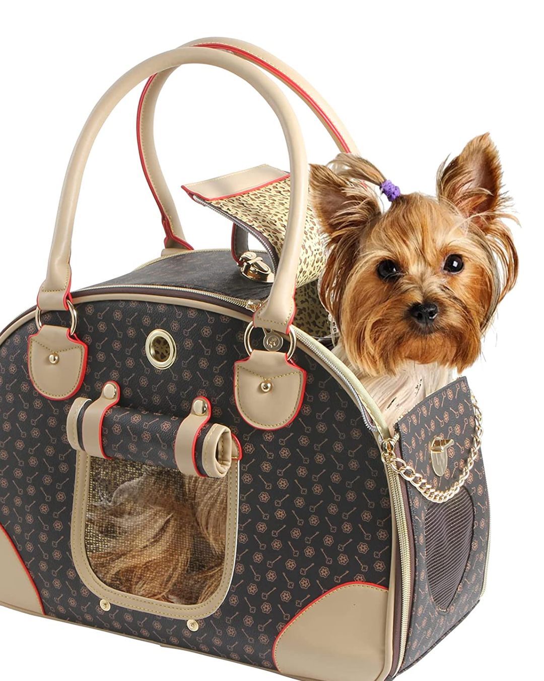 pet travel safety holiday vacation cat dog carrier