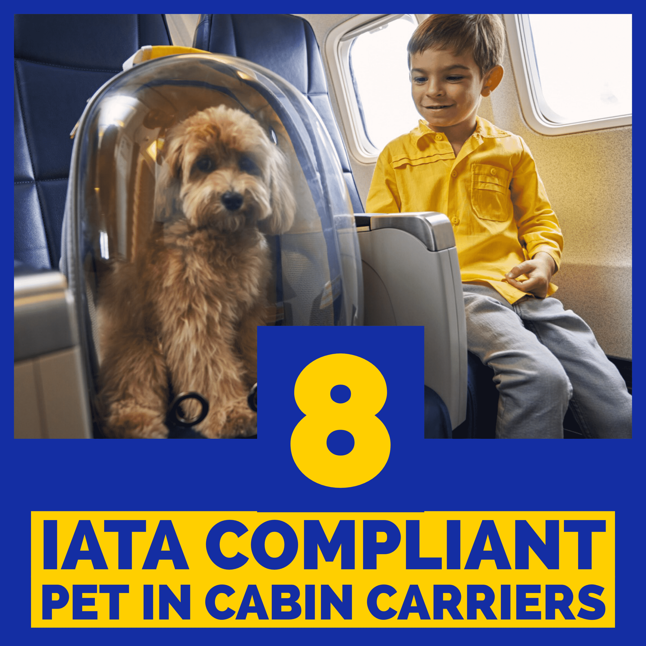 iata pet in cabin airline travel carrier cat dog plane flying safely in cabin